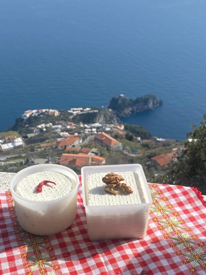 أَجيرولا B&B Miramare المظهر الخارجي الصورة