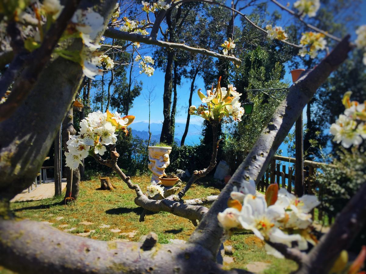أَجيرولا B&B Miramare المظهر الخارجي الصورة